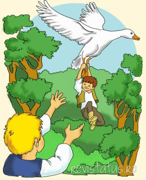 Flying Goose