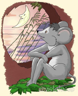 poezie Insomnie poezie Insomnie