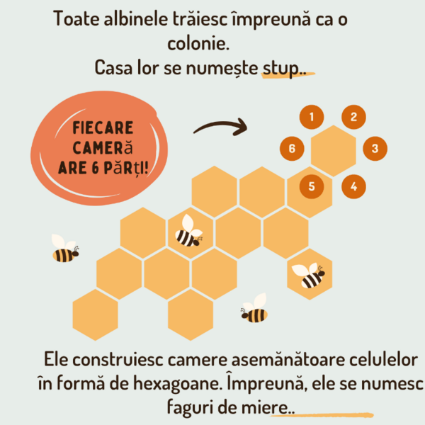 Povești pentru copii isteți