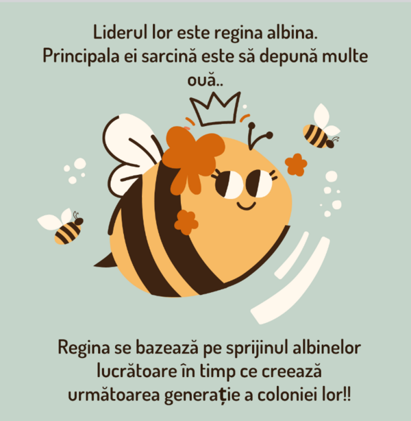 Povești pentru copii între 6-12 ani